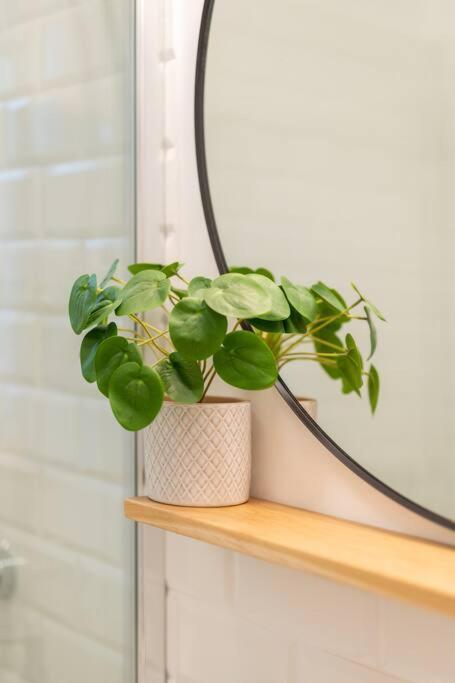 New Confortable Beautifull Apartment ピラン エクステリア 写真
